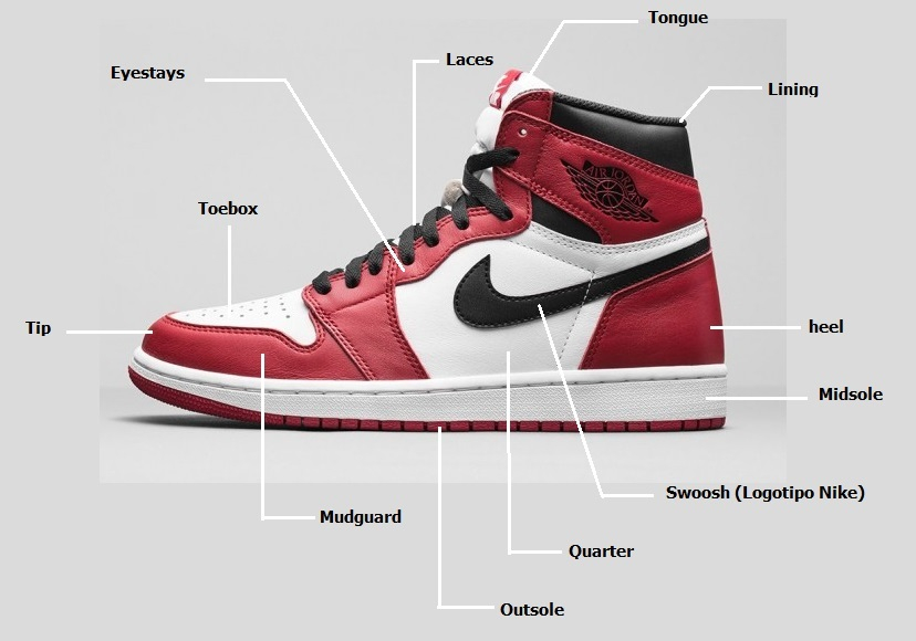 sneaker anatomy