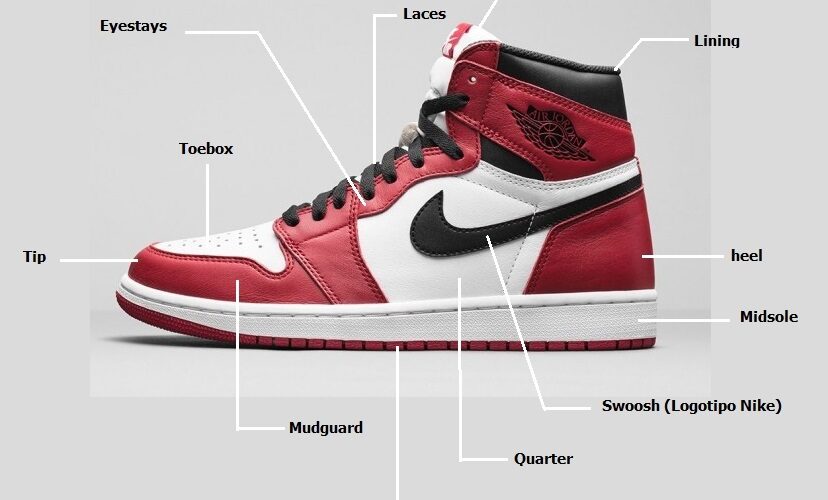 Anatomia Sneaker