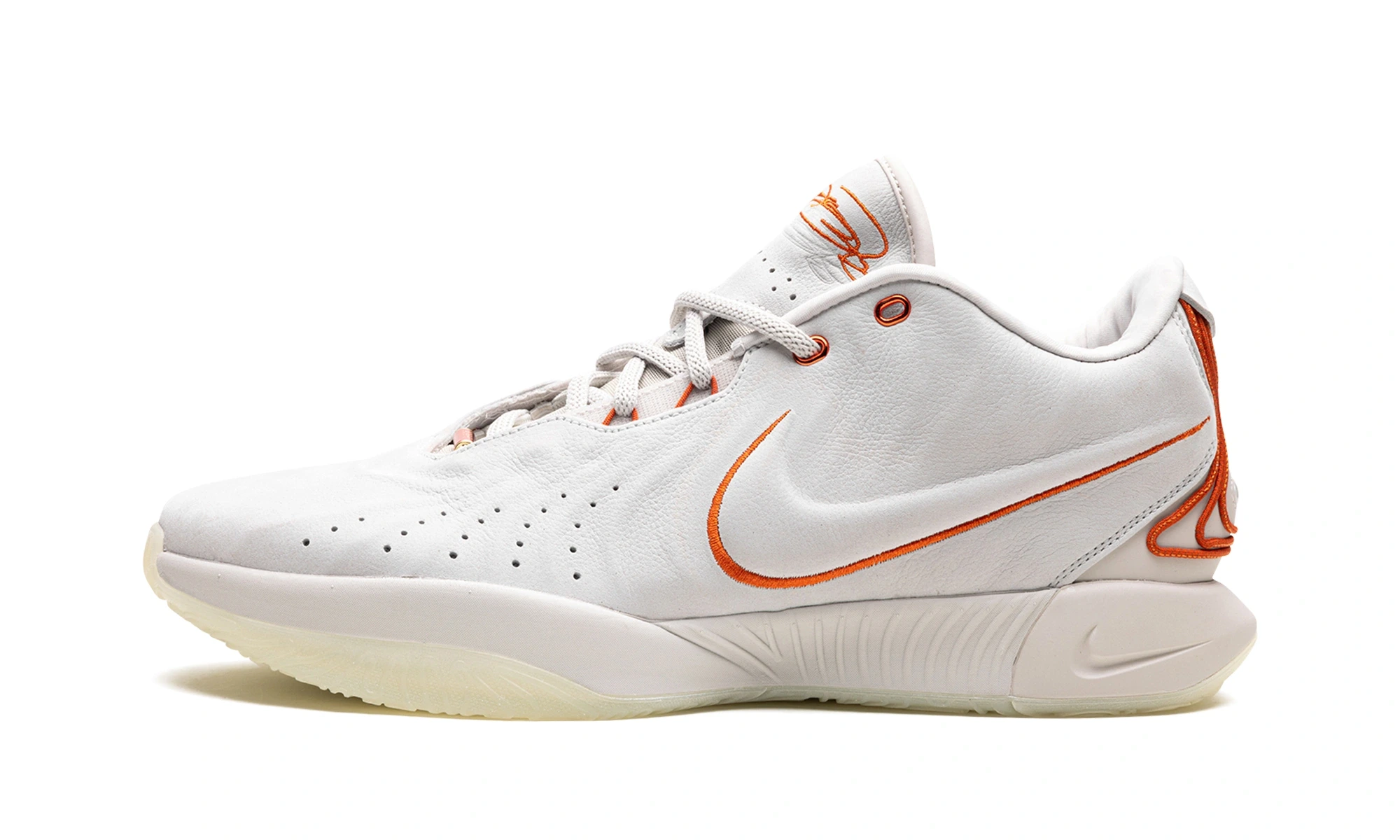 Nike Lebron 21 Akoya, 2023 edition